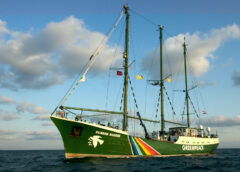 Şok – Greenpeace Rainbow Warrior-1’e sabotaj